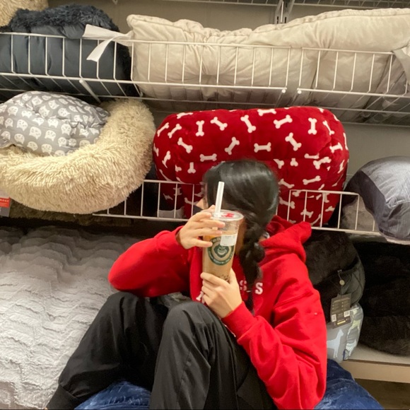 lilysnails